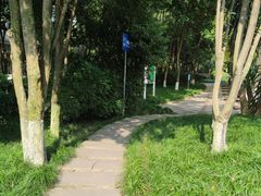 -神仙树公园
