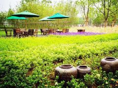 -田园东方蜜桃村的田野营地