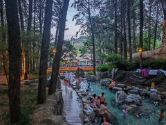 -金方森林温泉