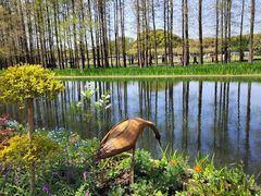 -上海共青森林公园