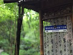 -兰亭风景区