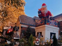 -弗兰克牛排西餐厅Ribone steak house(柠檬花园店)