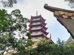 -白云山风景名胜区