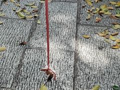 -黄埔古港