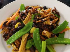 -得心斋(文华北路店)