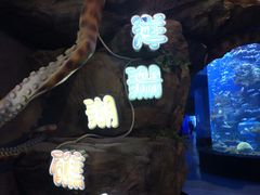 -多彩贵州城极地海洋世界