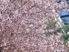 -中国天府农业博览园