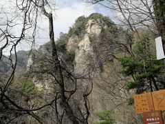 -王顺山国家森林公园