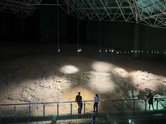 -世界恐龙谷景区