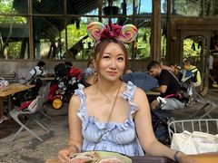 -奥兰多迪士尼动物王国乐园