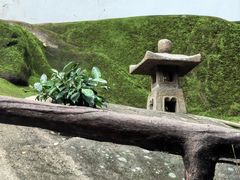 -乌山风景区