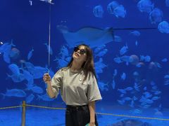 -烟台海昌鲸鲨海洋公园