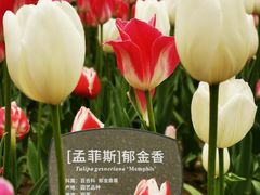 -国家植物园