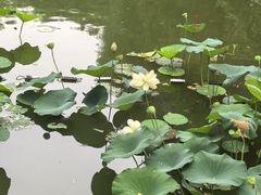 -莲池书院博物馆