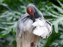 -Sony Store索尼(广州正佳店)