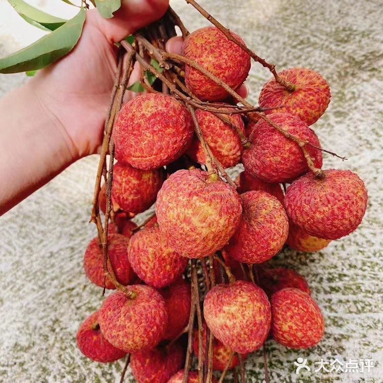 夏天必备甜品：荔枝果冻！