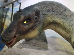 -国家自然博物馆