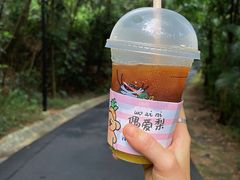 -广州市白云山风景名胜区