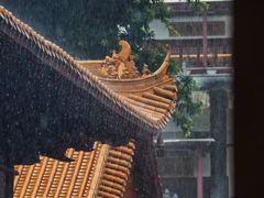 -深圳仙湖植物园