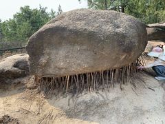 -白水寺森林公园
