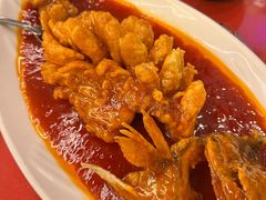 松鼠桂鱼-玉华台饭庄(裕中西里小区店)
