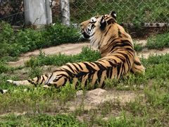 -西霞口神雕山野生动物世界