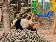 -青岛动物园