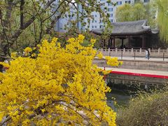 -元大都城垣遗址公园