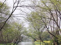 -西溪国家湿地公园