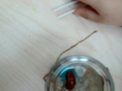 -中国杭州低碳科技馆