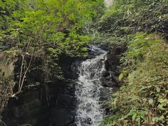 -白公馆