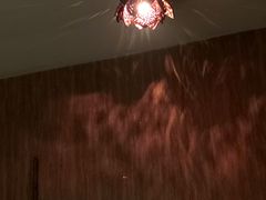 -莲泰式·中式·沐足·精油SPA采耳(天河店)