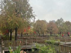 -五缘湾湿地公园