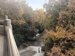 -灵谷景区
