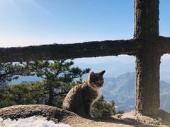 -九华山风景区