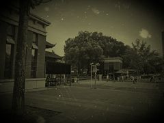 -四川大学(望江校区)
