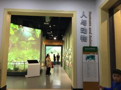 -国家自然博物馆