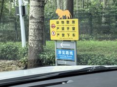 -秦皇岛野生动物园