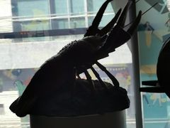 -观澜湖手艺工场·陶艺·吹玻璃·拼豆