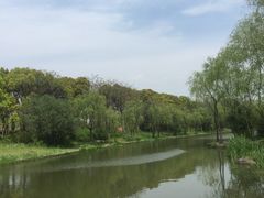 -新江湾城公园