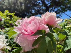 -国家植物园南园