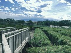 -亲兄弟真人CS团建拓展基地