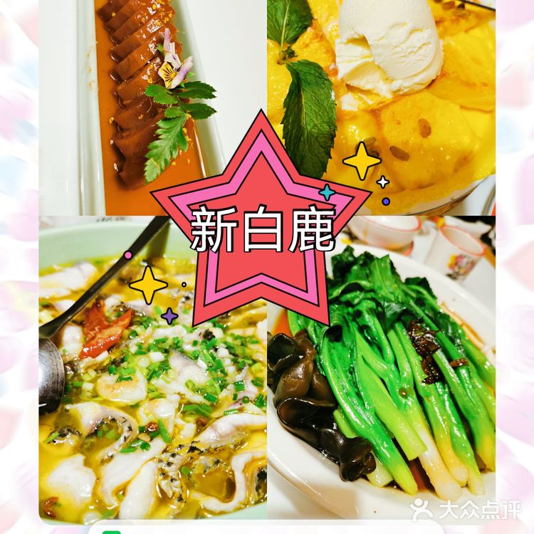 念念不忘——新白鹿