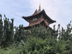 -迎泽公园