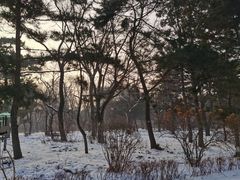 -长春市南湖公园