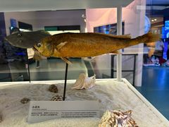 -上海中国航海博物馆