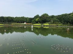 -南宁南湖公园