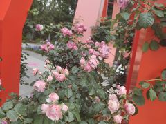 -人民公园(罗湖区)