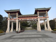 -王借岗森林公园