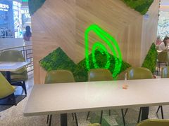 -油梨树AVOCADO TREE(嘉里中心店)